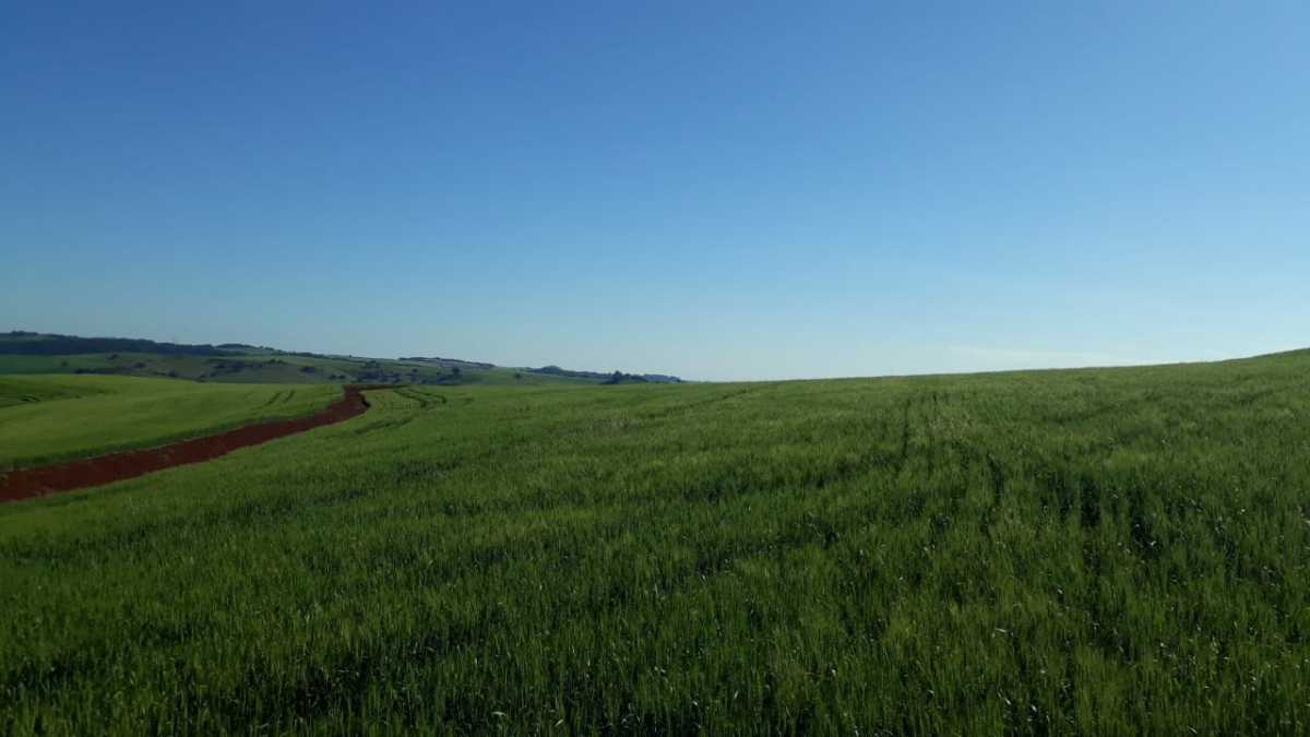 Fazenda, 3 quartos - Foto 7