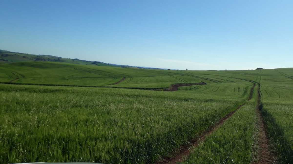 Fazenda, 3 quartos - Foto 10