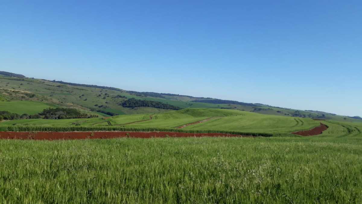 Fazenda, 3 quartos - Foto 14
