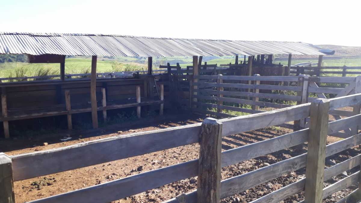 Fazenda, 3 quartos - Foto 17