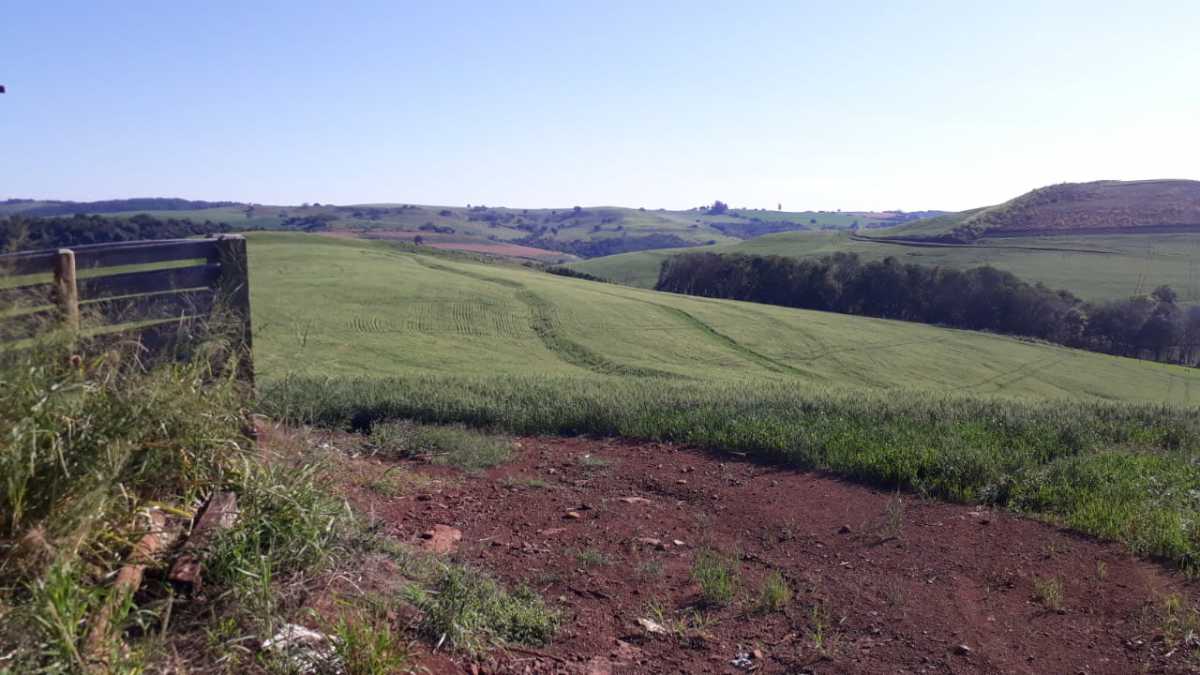 Fazenda, 3 quartos - Foto 18