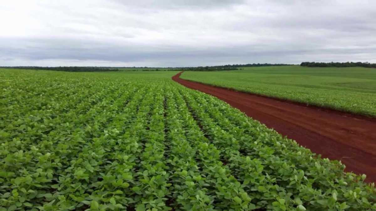 Fazenda, 3 quartos - Foto 1
