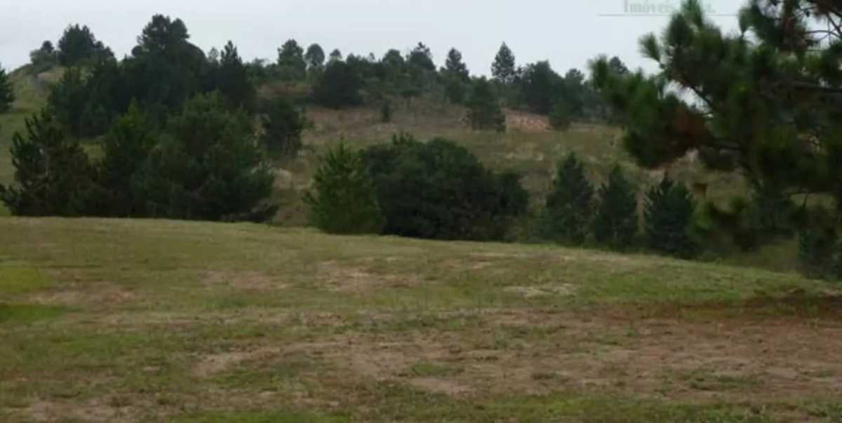 Terreno, 12 hectares - Foto 2