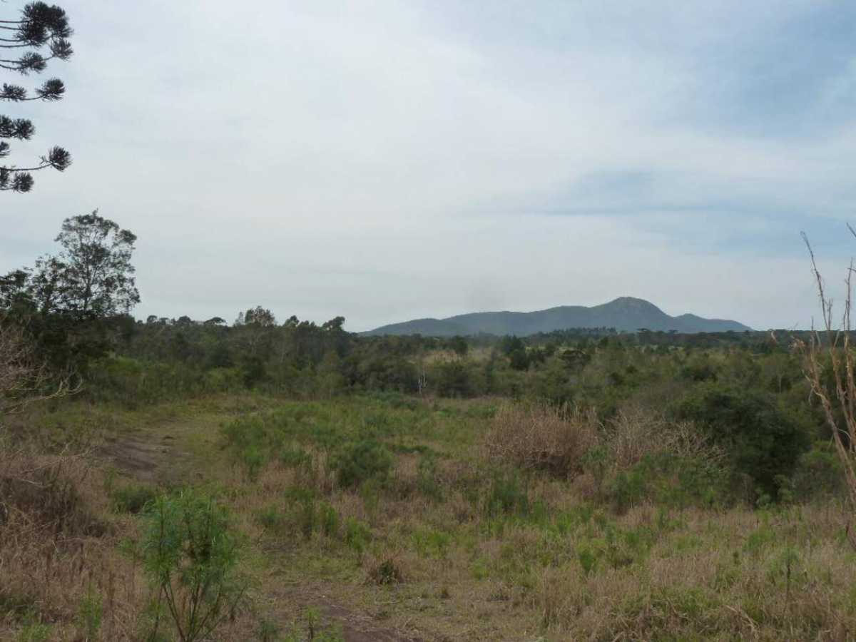 Terreno, 12 hectares - Foto 7