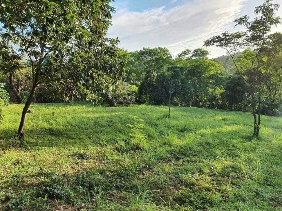Terreno, 1 hectares - Foto 1