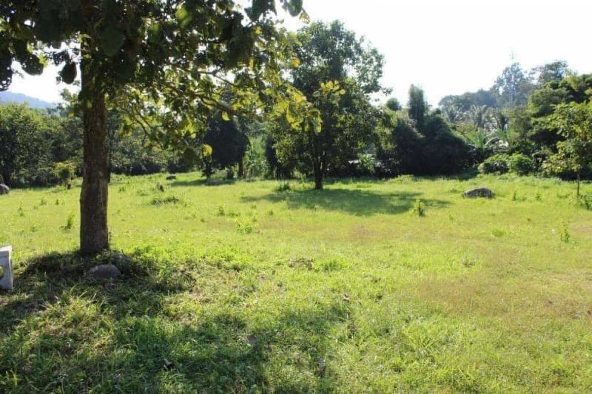 Terreno, 1 hectares - Foto 2