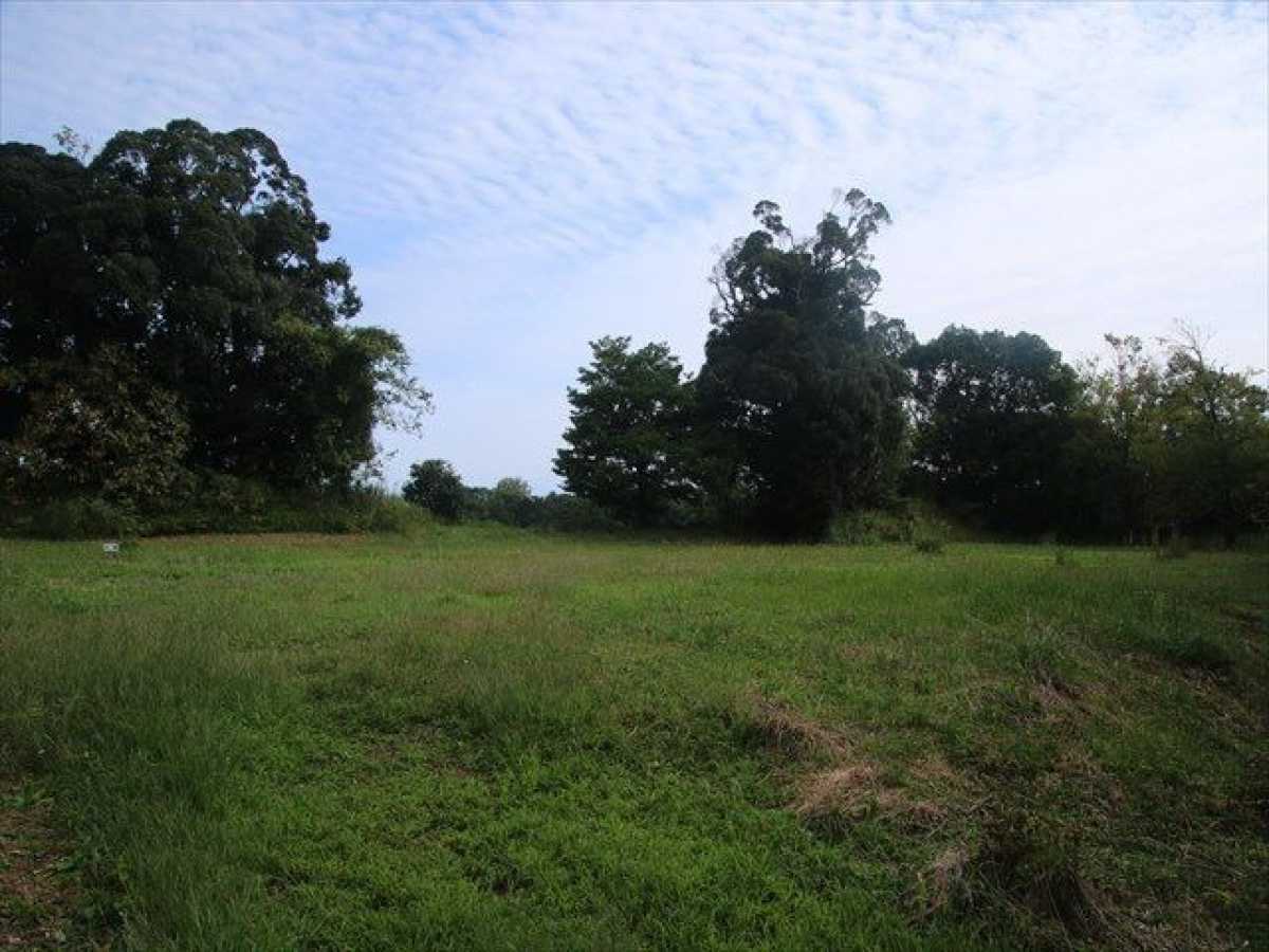 Terreno, 1 hectares - Foto 3