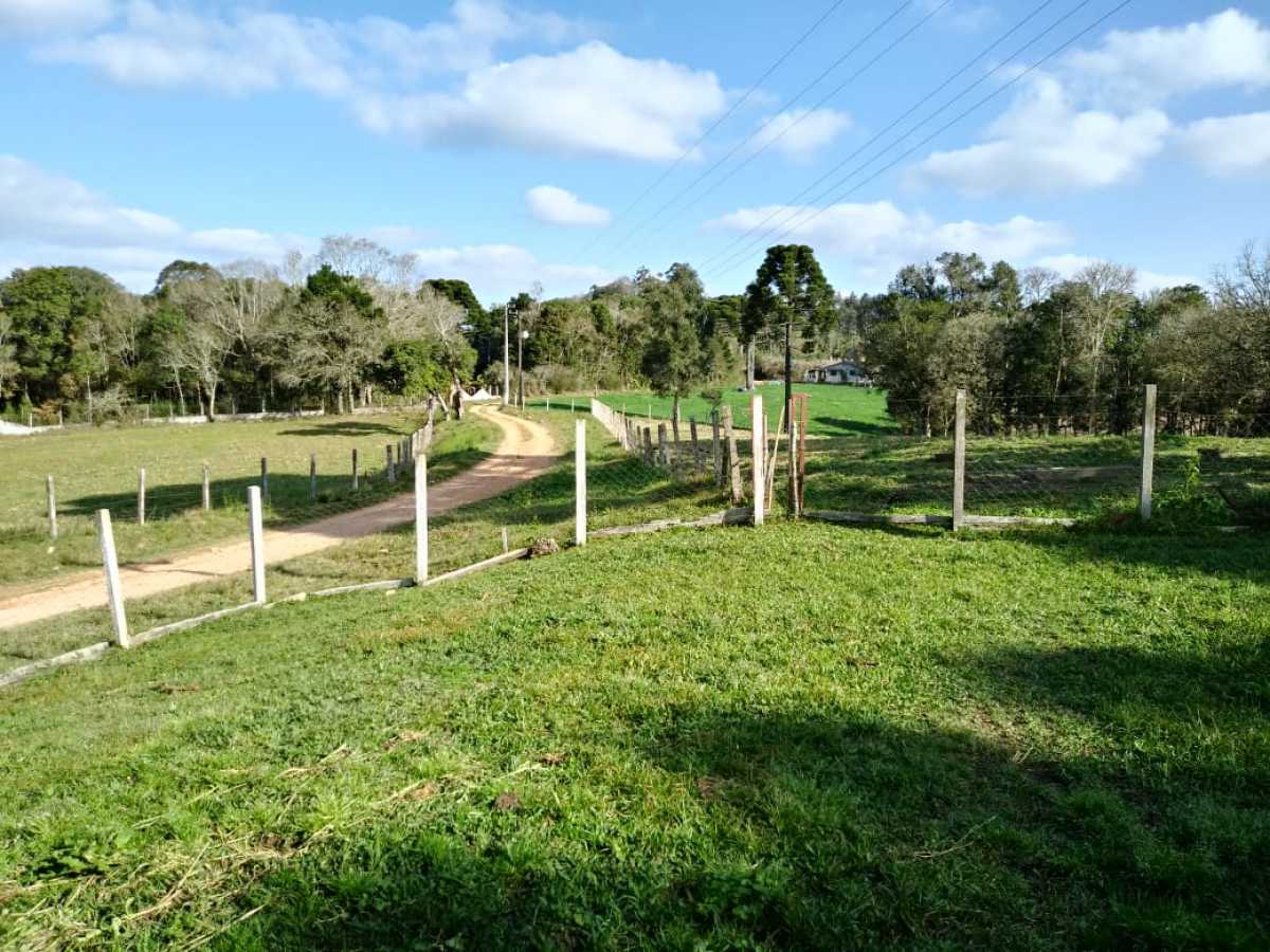Chácara, 3 quartos - Foto 3
