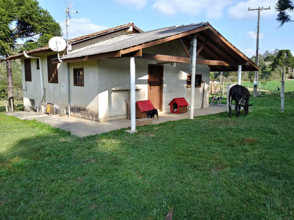 Chácara, 3 quartos - Foto 4