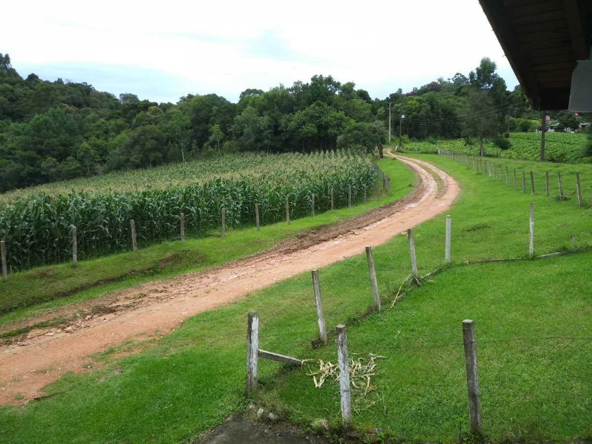 Chácara, 3 quartos - Foto 1