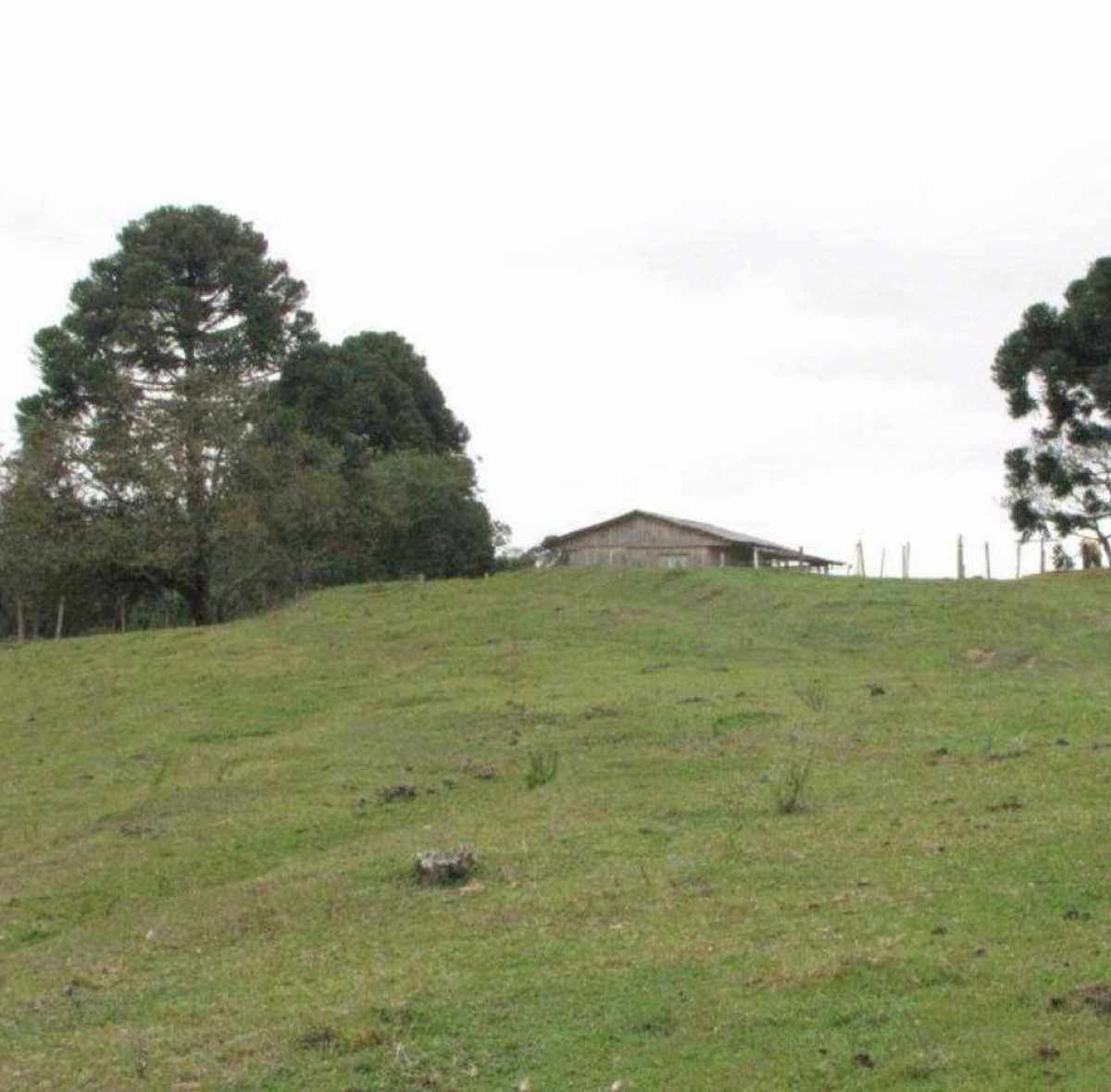 Chácara, 3 quartos - Foto 6