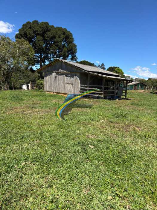 Chácara, 3 quartos - Foto 22