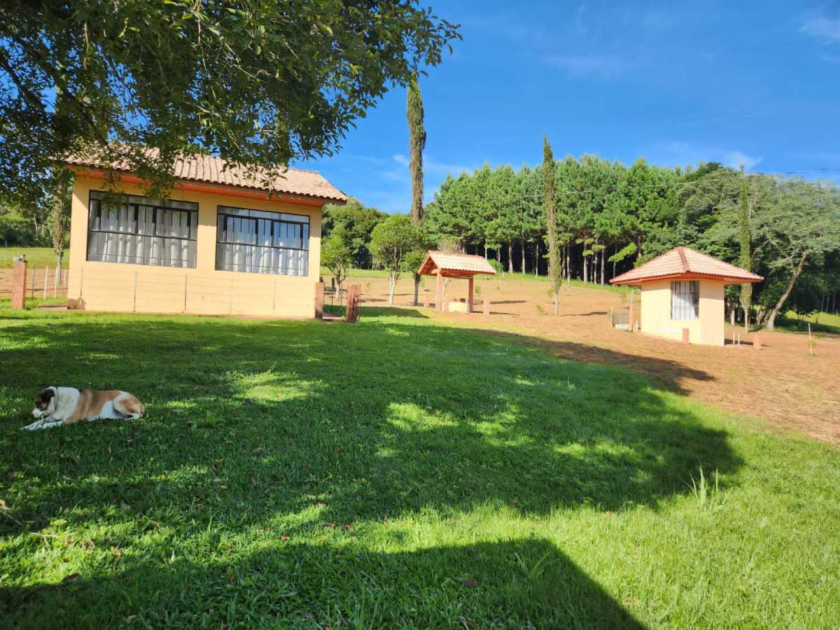 Chácara, 3 quartos - Foto 8