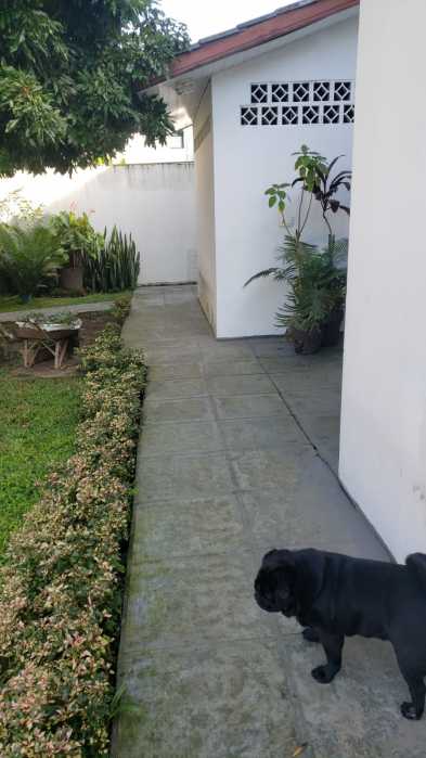 Casa, 6 quartos, 490 m² - Foto 28