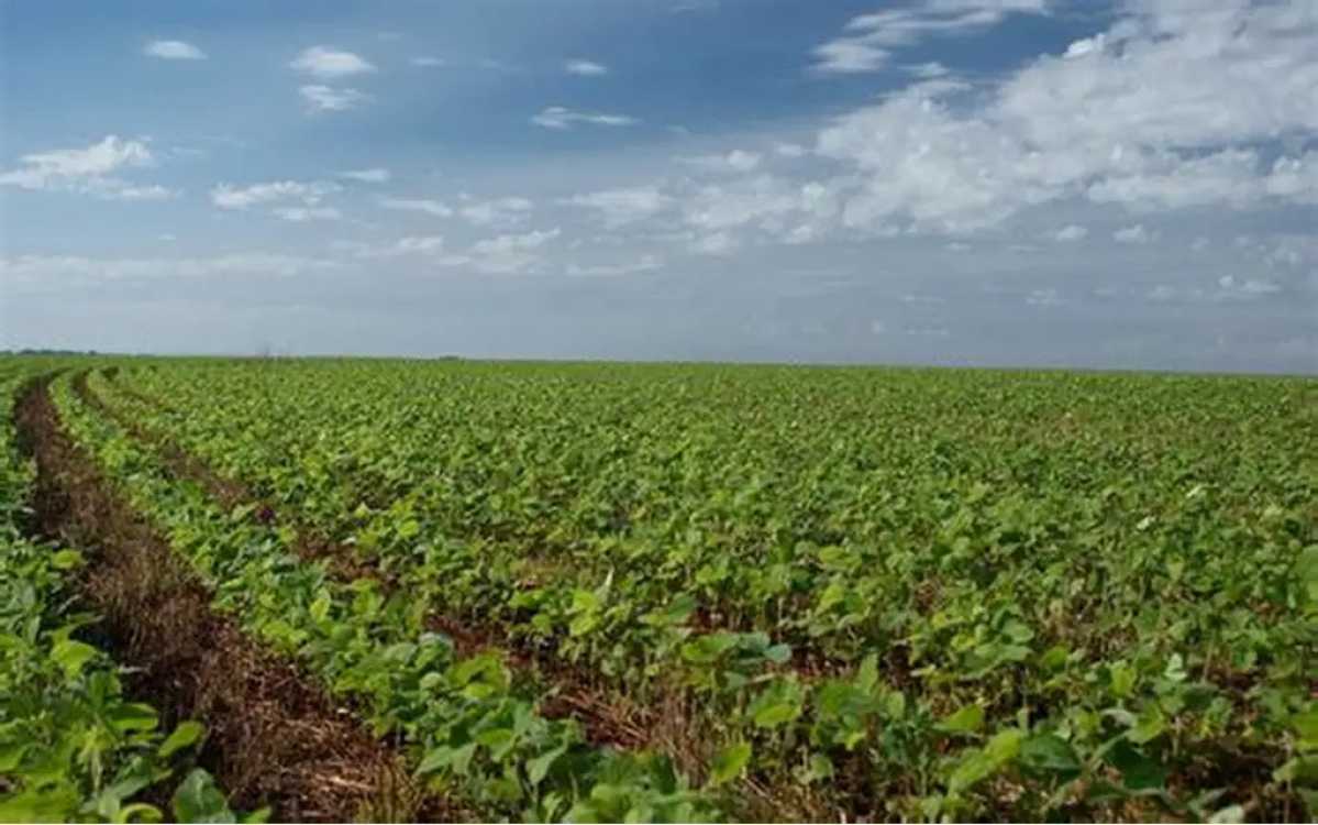Fazenda, 3 quartos - Foto 1
