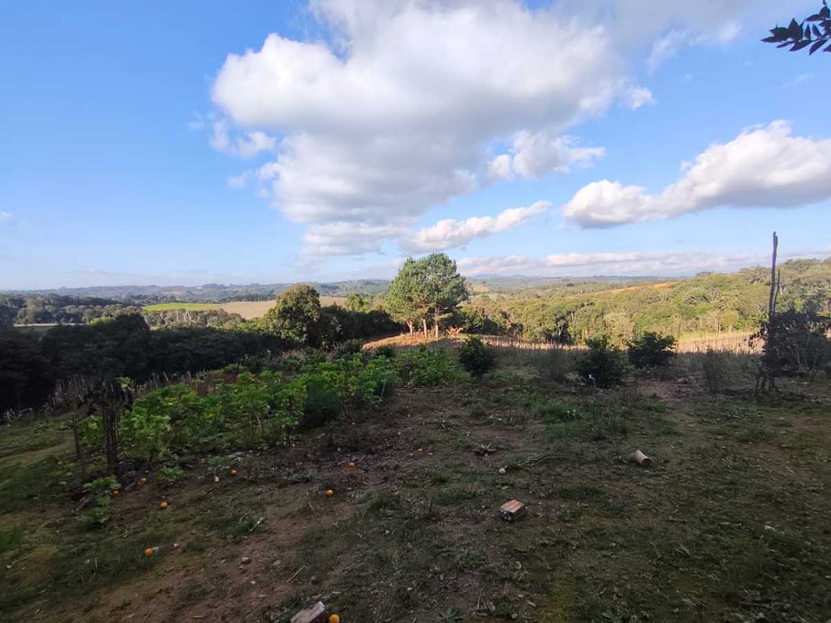 Chácara, 3 quartos - Foto 12