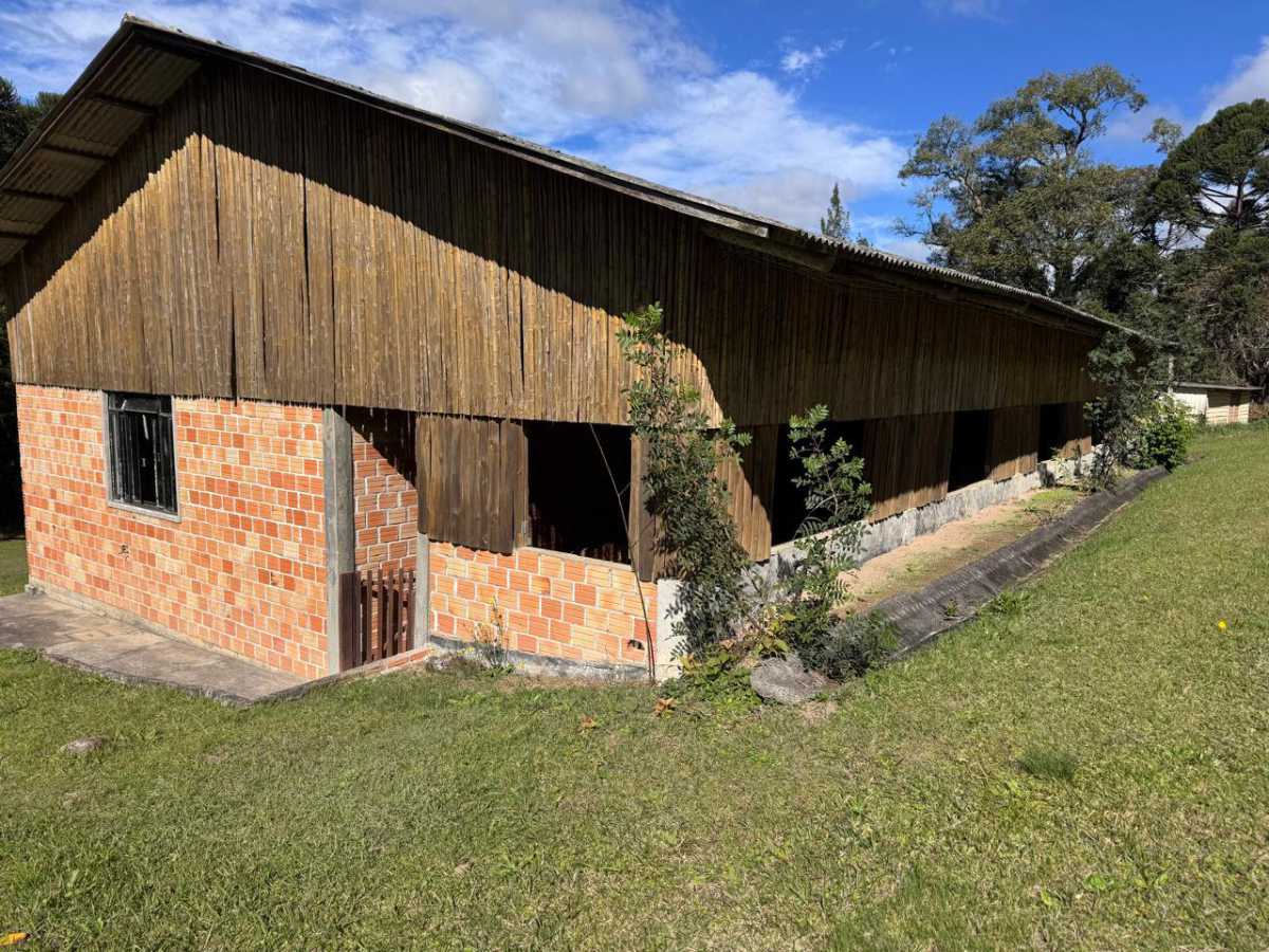 Chácara, 6 quartos - Foto 4