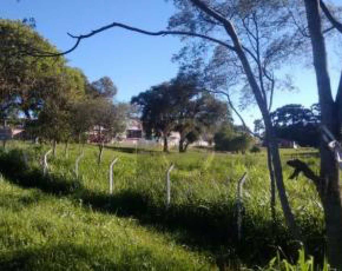 Terreno, 7 hectares - Foto 4