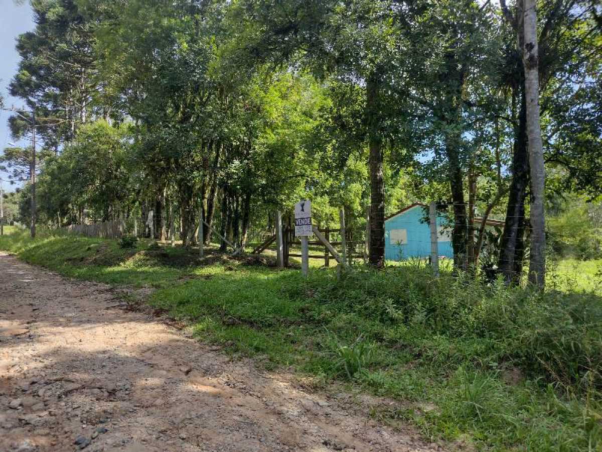 Chácara, 2 quartos, 37 hectares - Foto 7