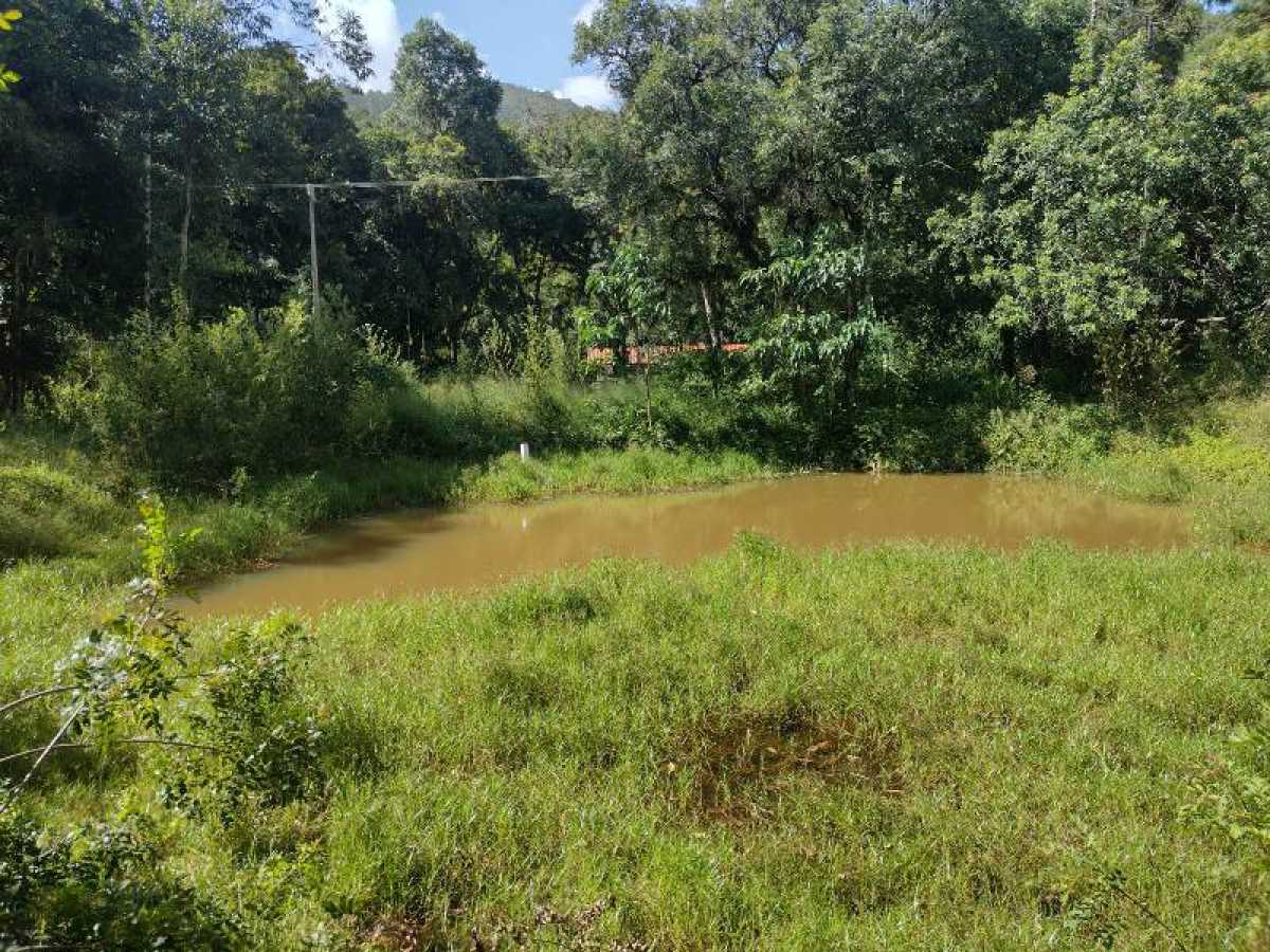 Chácara, 2 quartos, 37 hectares - Foto 15
