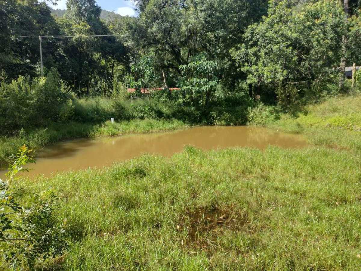 Chácara, 2 quartos, 37 hectares - Foto 6