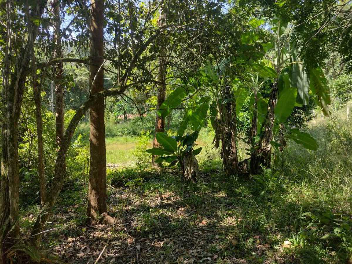 Chácara, 2 quartos, 37 hectares - Foto 17