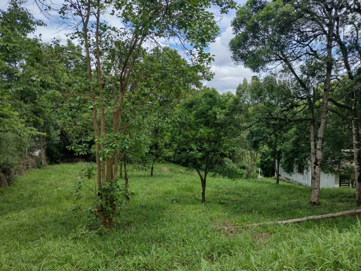 Terreno, 70 hectares - Foto 8