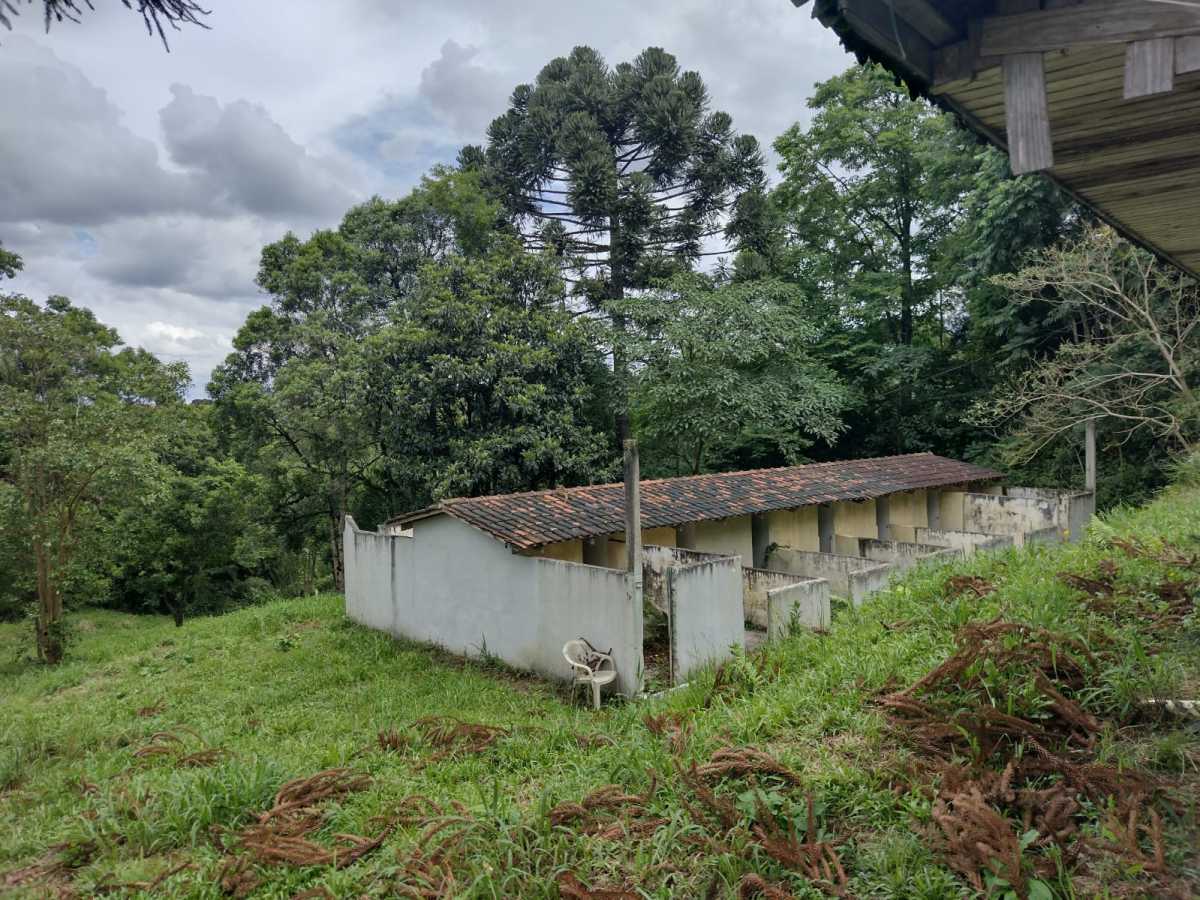 Terreno, 70 hectares - Foto 9