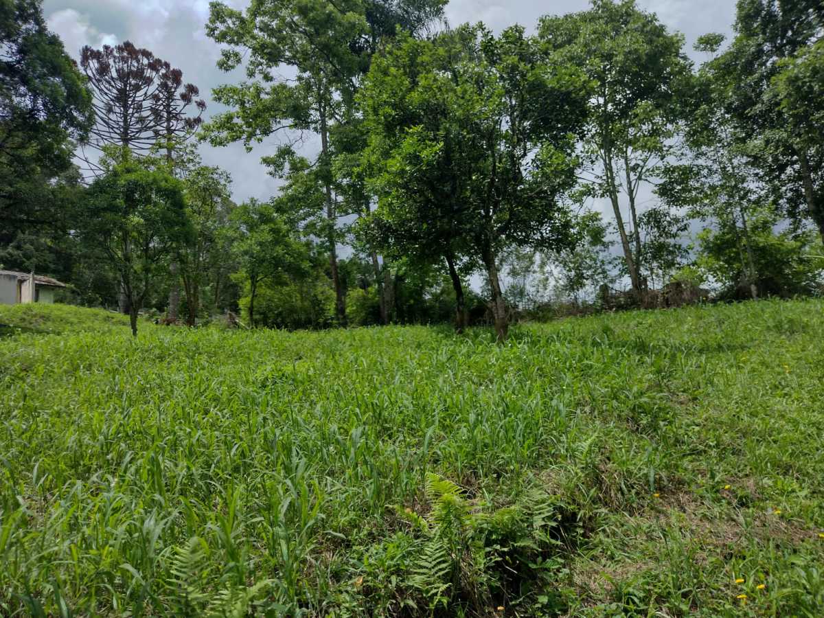 Terreno, 70 hectares - Foto 4
