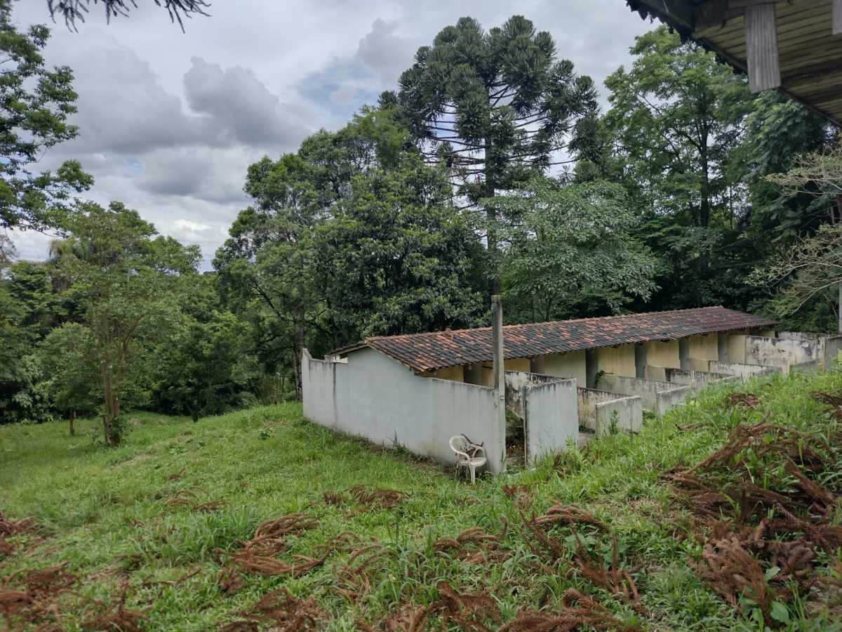 Terreno, 70 hectares - Foto 11