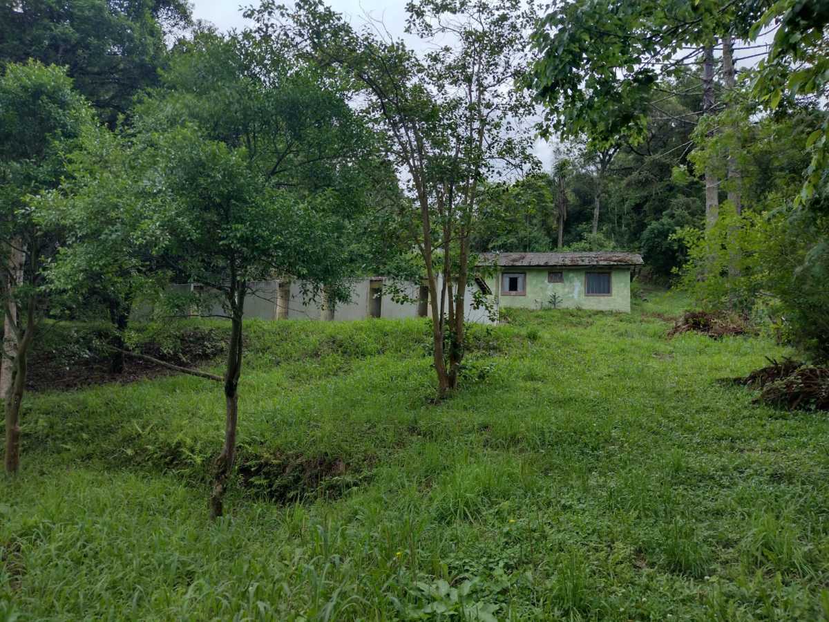 Terreno, 70 hectares - Foto 13