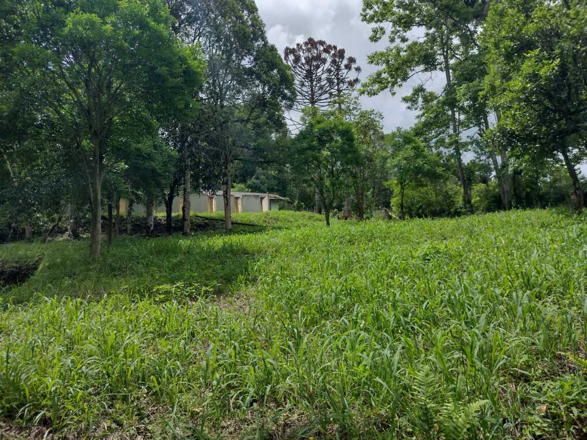 Terreno, 70 hectares - Foto 15