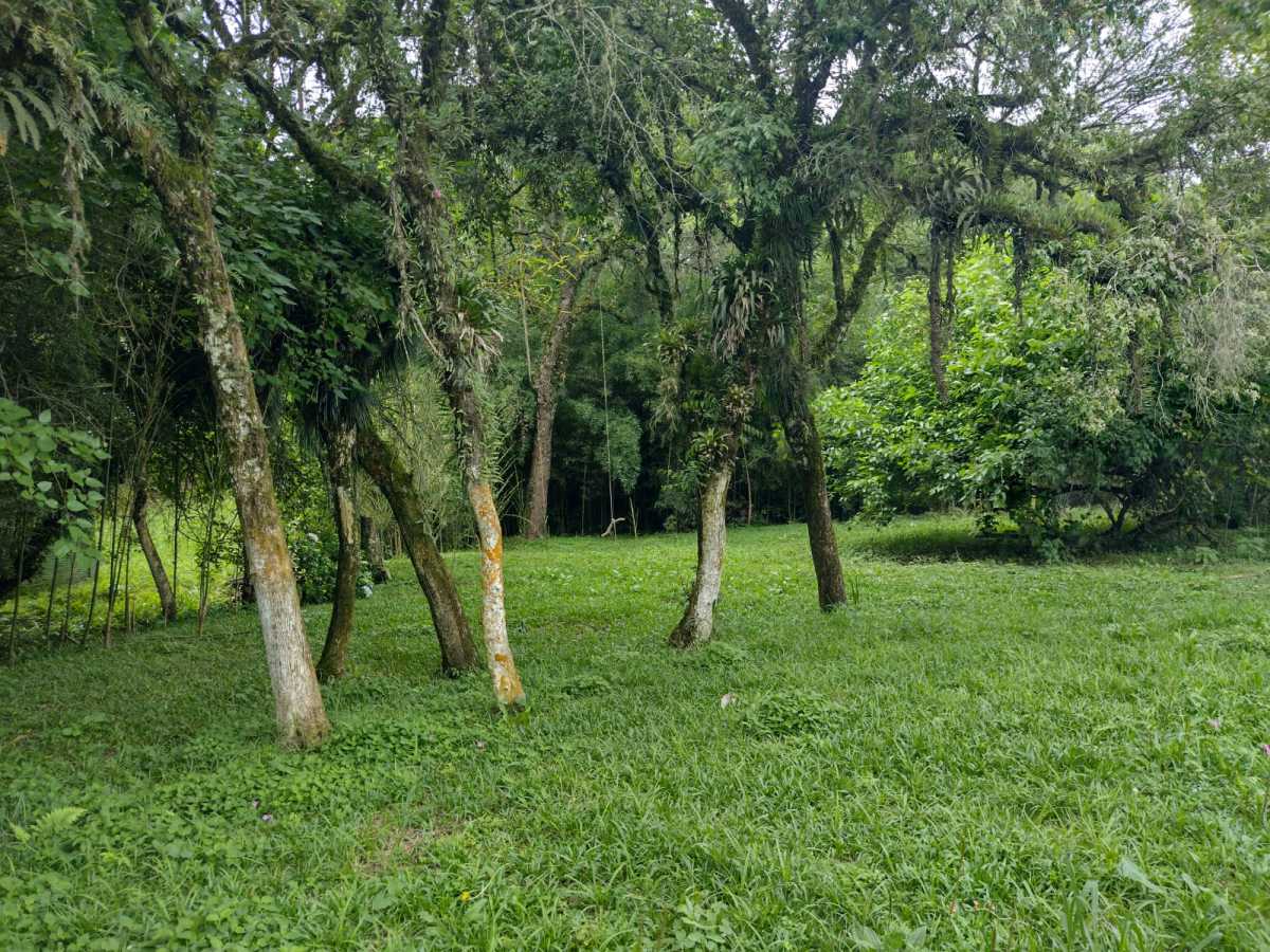 Terreno, 70 hectares - Foto 16