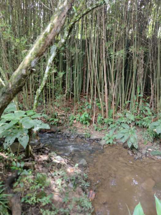 Terreno, 70 hectares - Foto 18