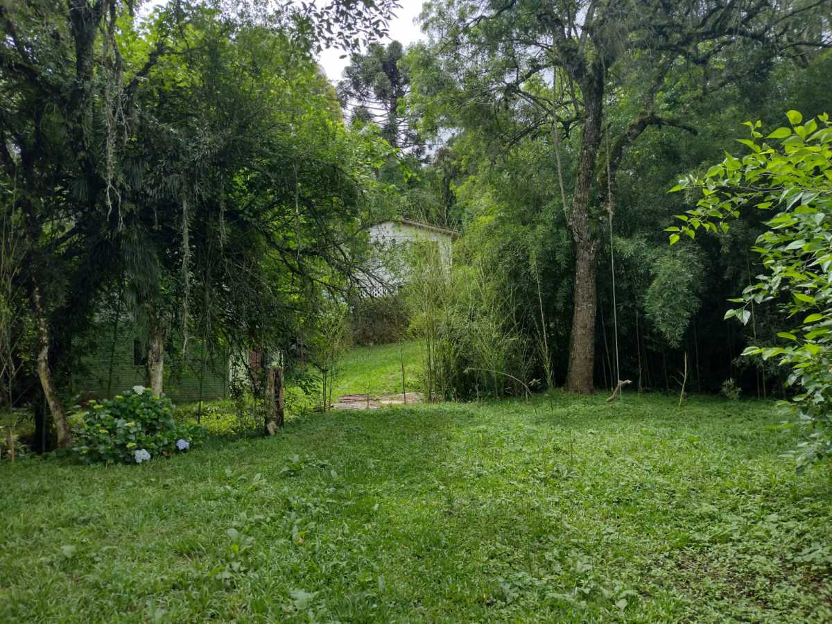 Terreno, 70 hectares - Foto 3