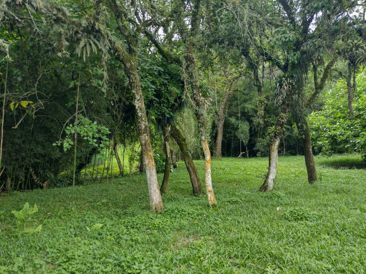 Terreno, 70 hectares - Foto 1