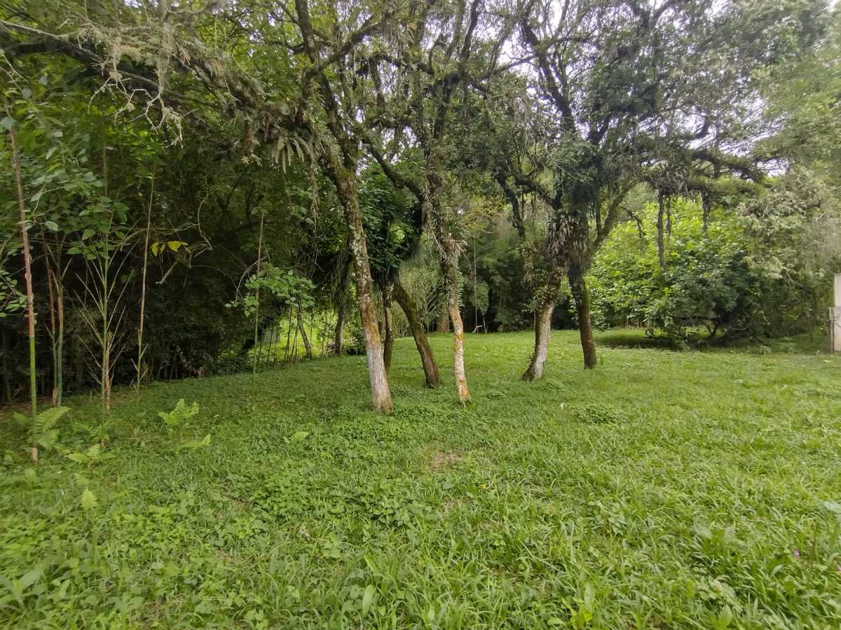 Terreno, 70 hectares - Foto 21