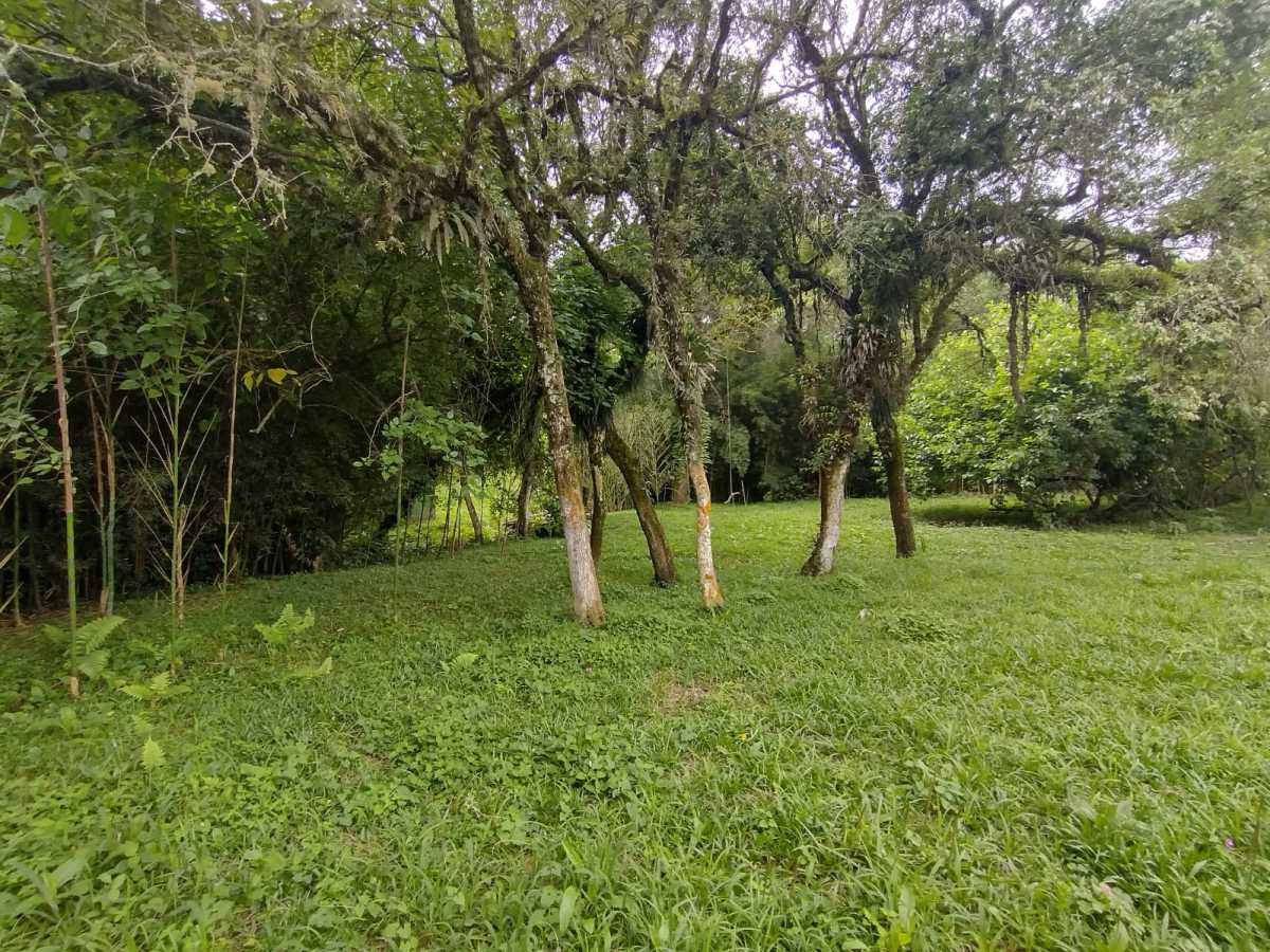 Terreno, 70 hectares - Foto 23