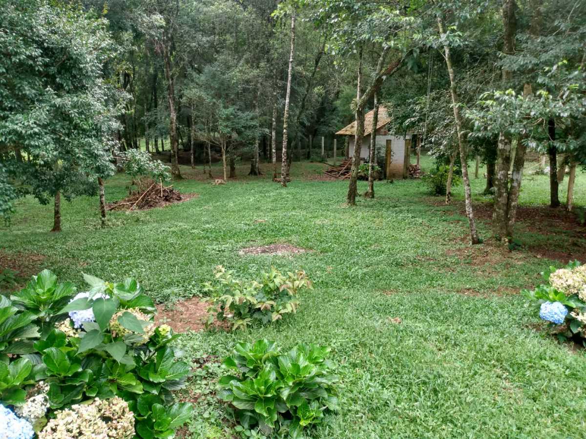 Chácara, 2 quartos, 2 hectares - Foto 6