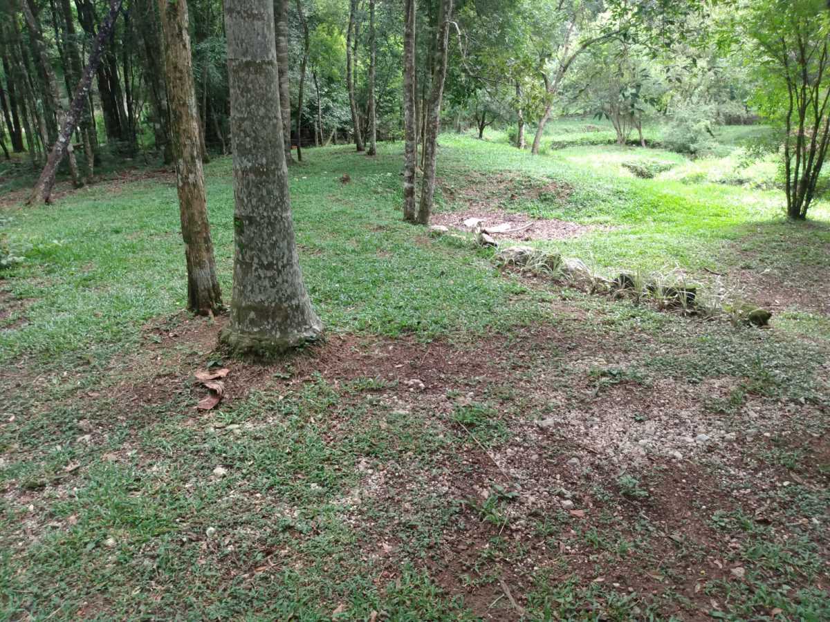 Chácara, 2 quartos, 2 hectares - Foto 12