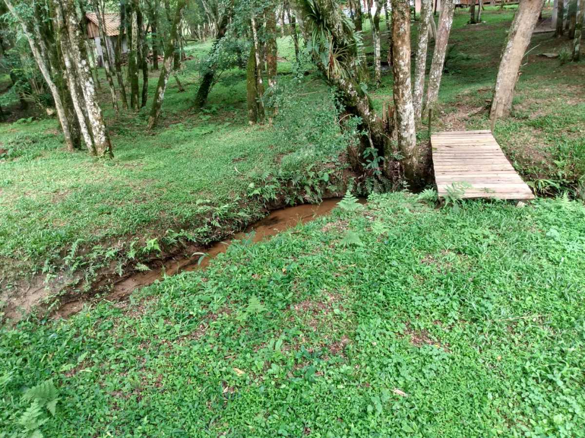 Chácara, 2 quartos, 2 hectares - Foto 11