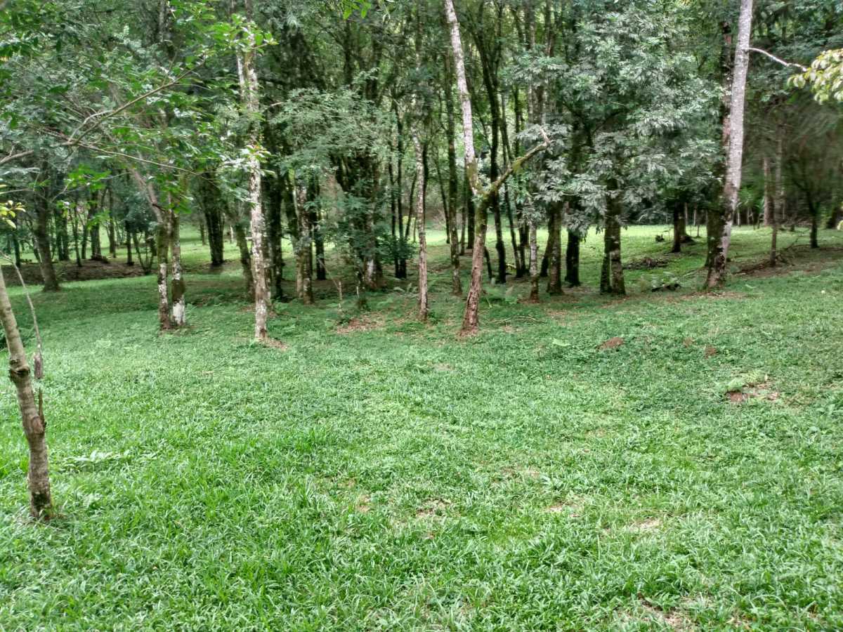 Chácara, 2 quartos, 2 hectares - Foto 10