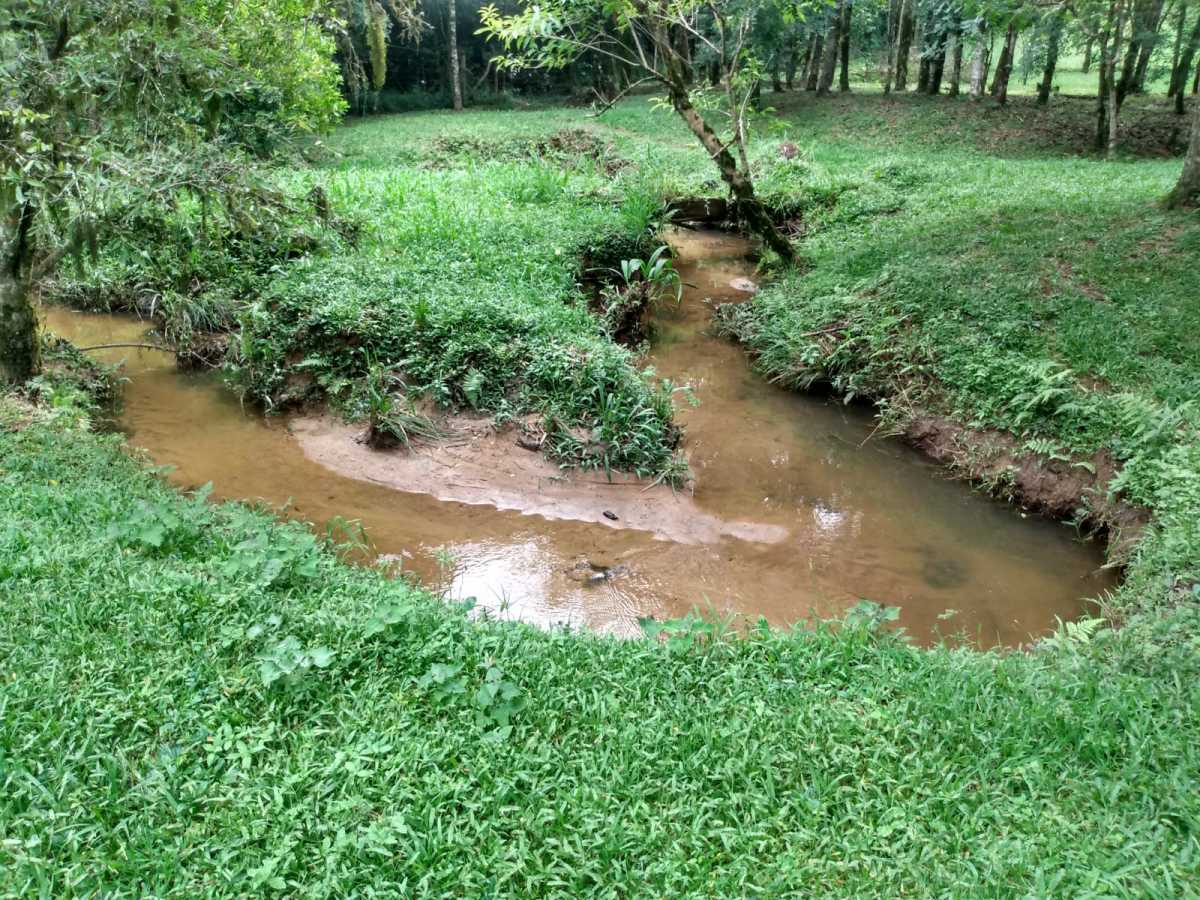 Chácara, 2 quartos, 2 hectares - Foto 1