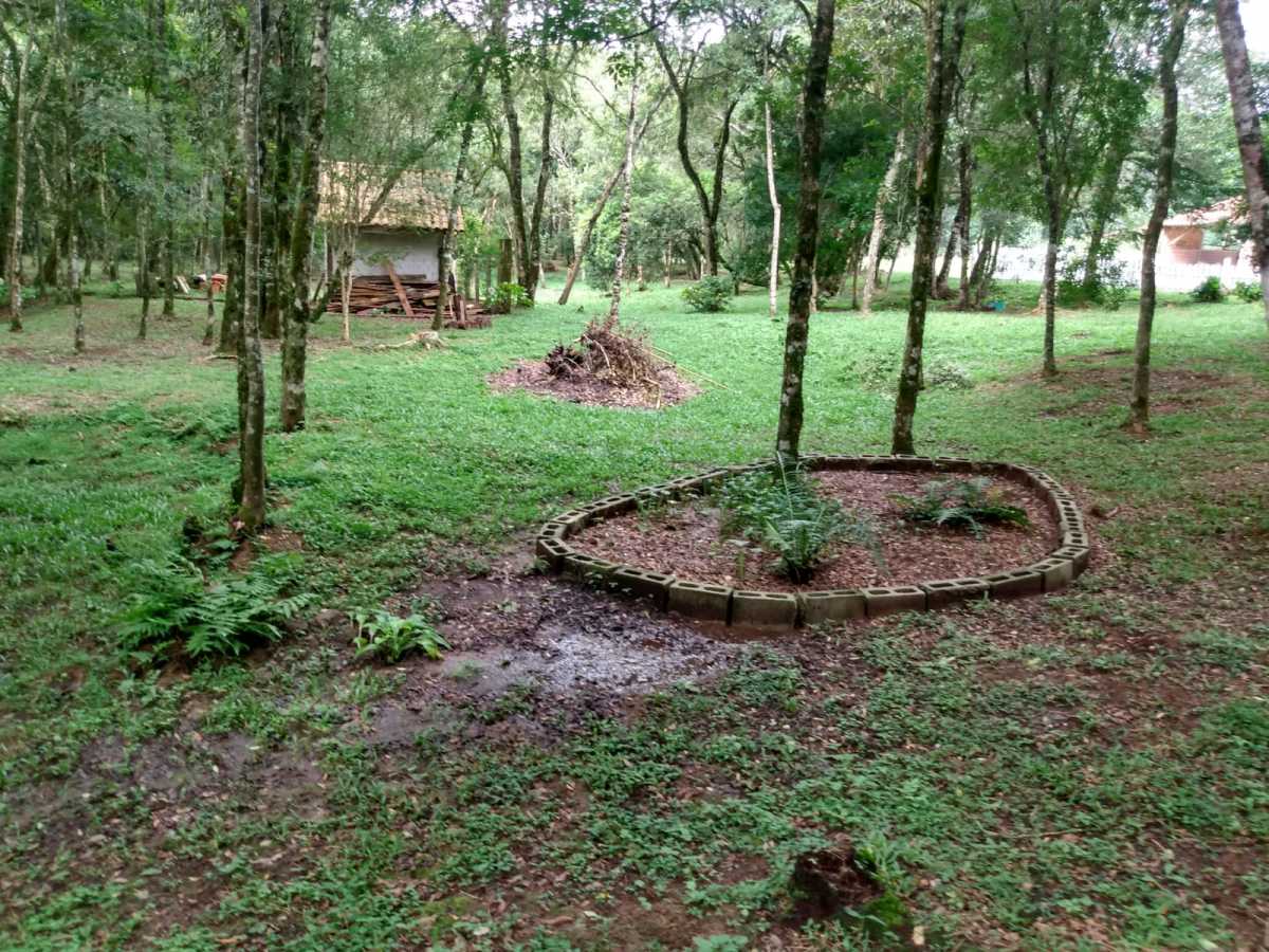Chácara, 2 quartos, 2 hectares - Foto 14