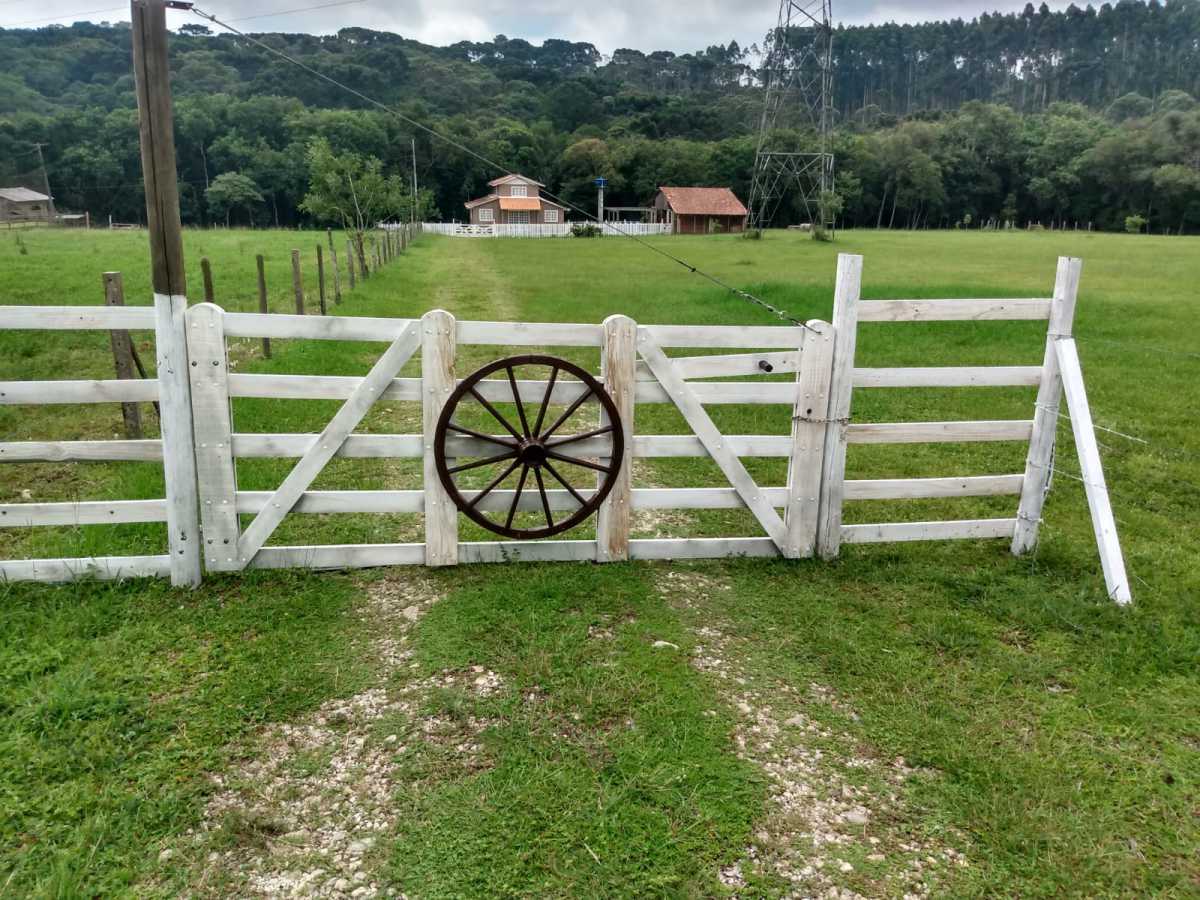 Chácara, 2 quartos, 2 hectares - Foto 15