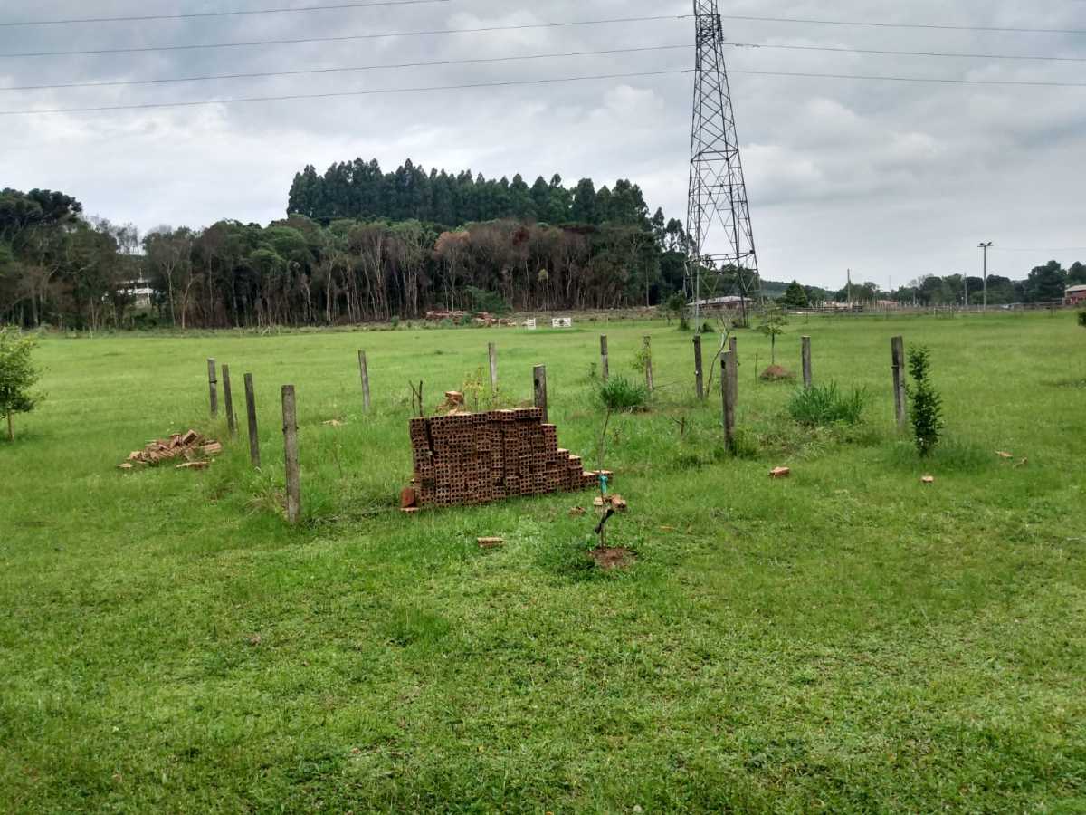 Chácara, 2 quartos, 2 hectares - Foto 22