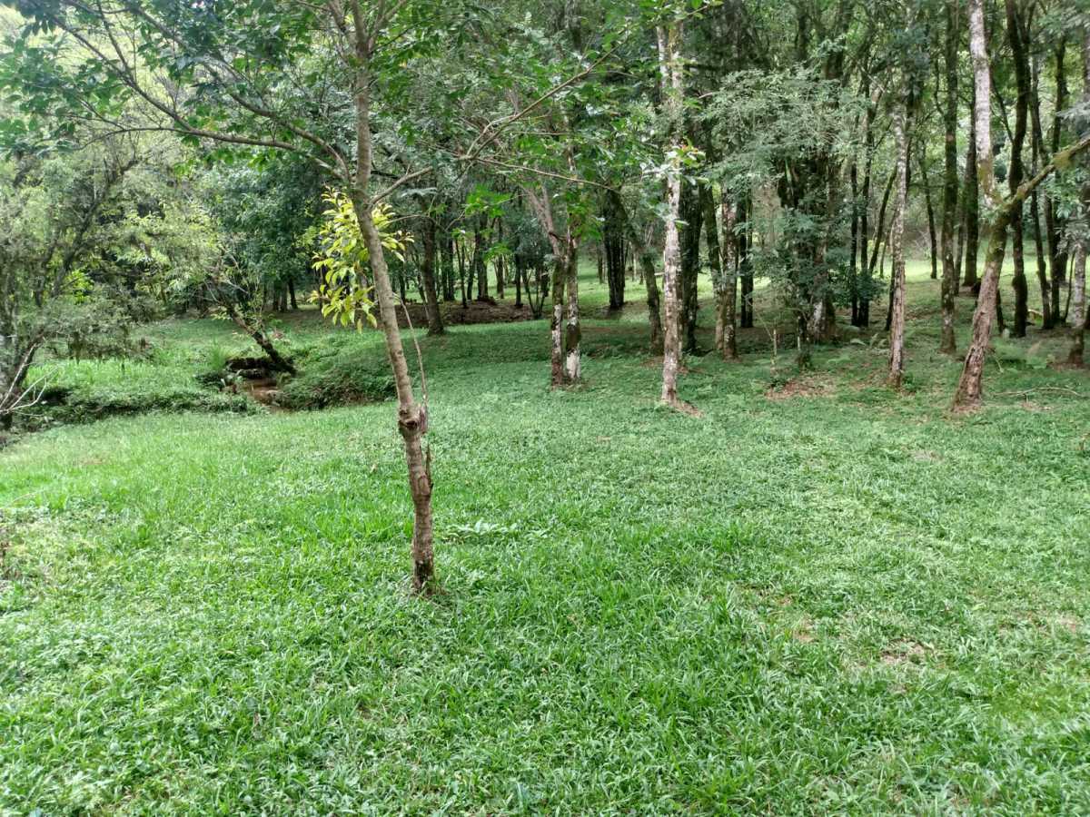 Chácara, 2 quartos, 2 hectares - Foto 26