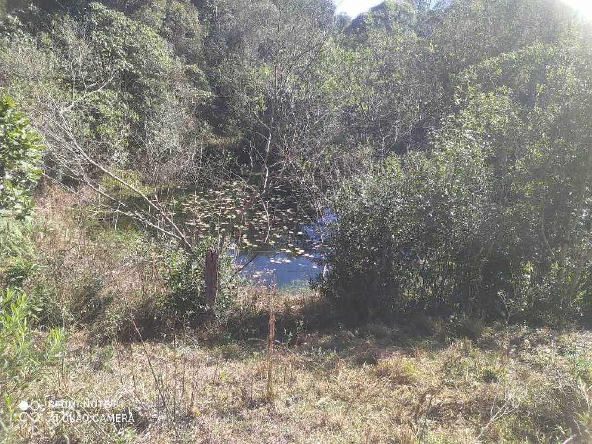 Chácara, 10 hectares - Foto 3