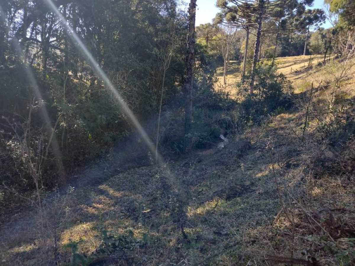 Chácara, 10 hectares - Foto 11