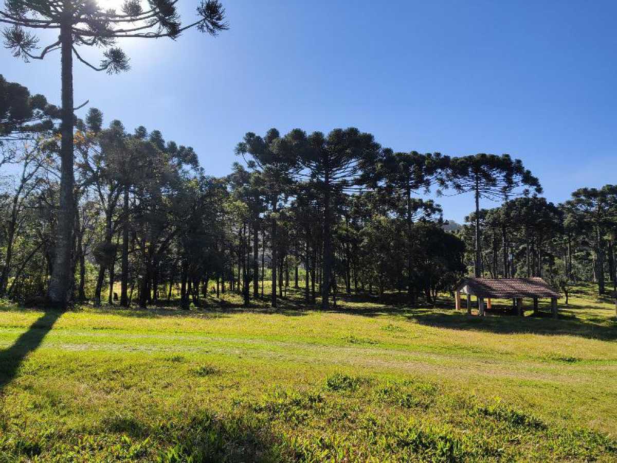 Chácara, 10 hectares - Foto 12